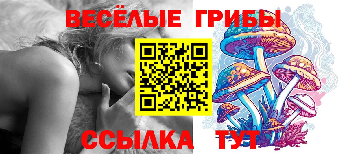 сколько стоит  Галлюциногенные грибы GOLDEN TEACHER  Вход с VPN  Магадан 